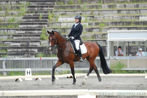 神奈川ホースショー